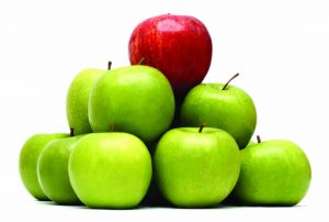 Leia mais sobre o artigo 5 dicas para melhorar o posicionamento dos seus anúncios no Mercado Livre