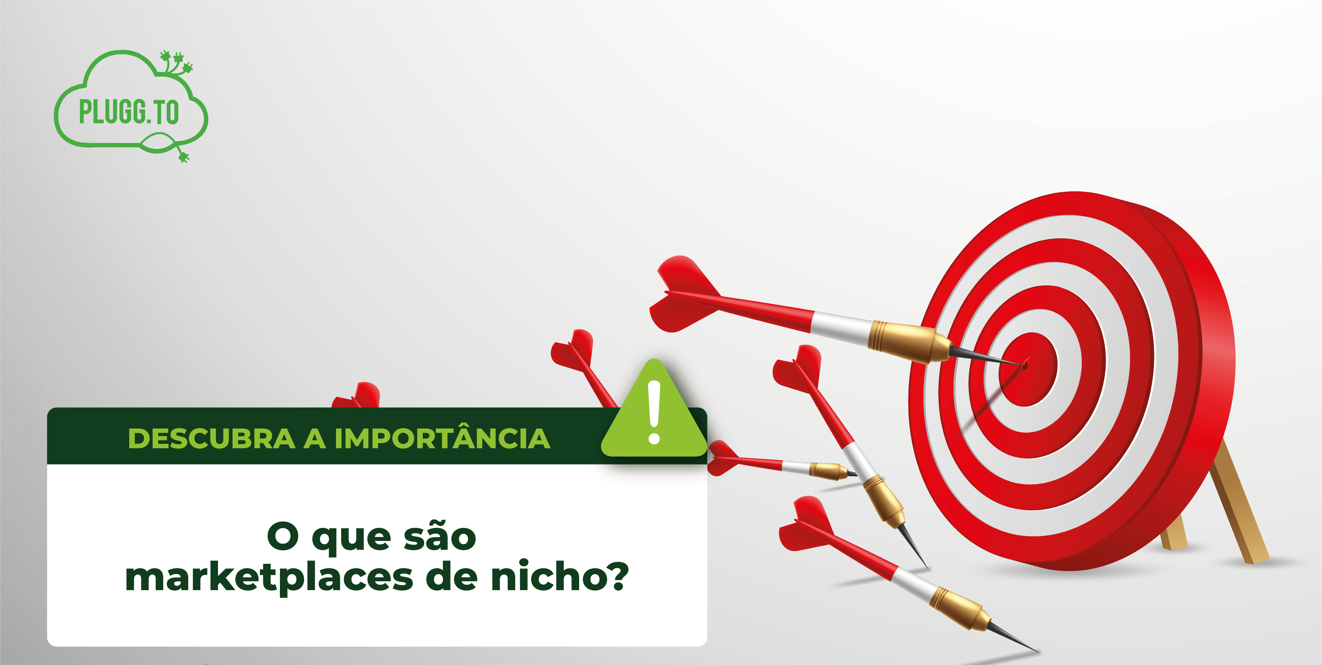 Leia mais sobre o artigo O que é marketplace de nicho